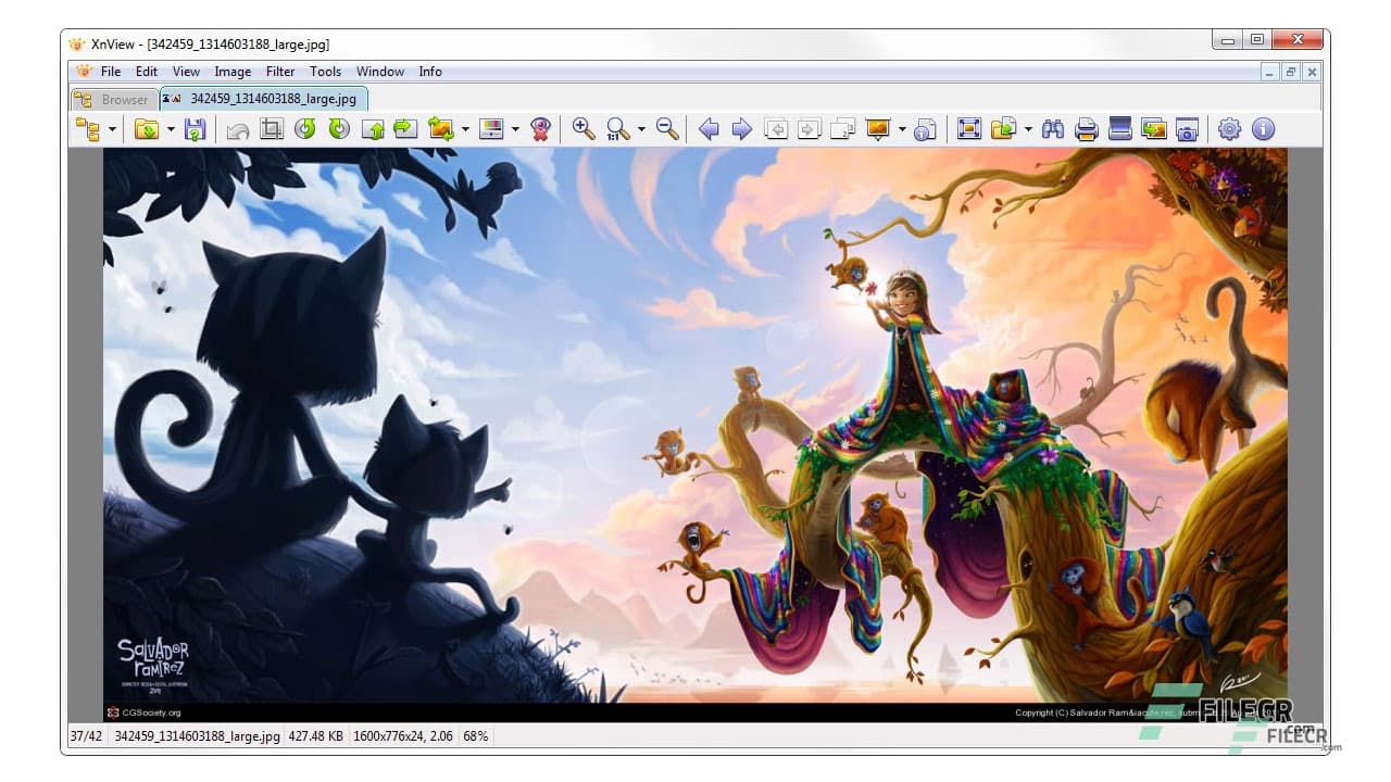 XnView 2.52.2 Complete