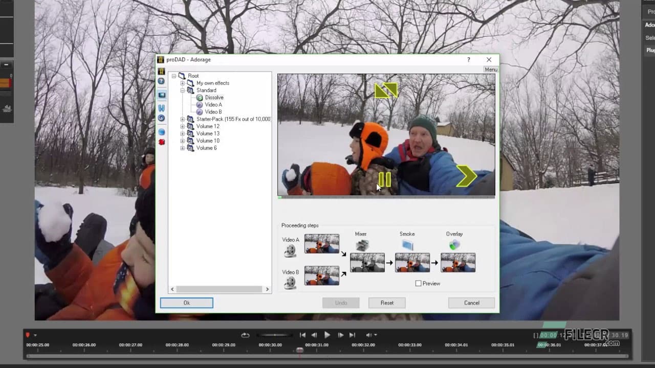 proDAD Adorage 3.0.135.6