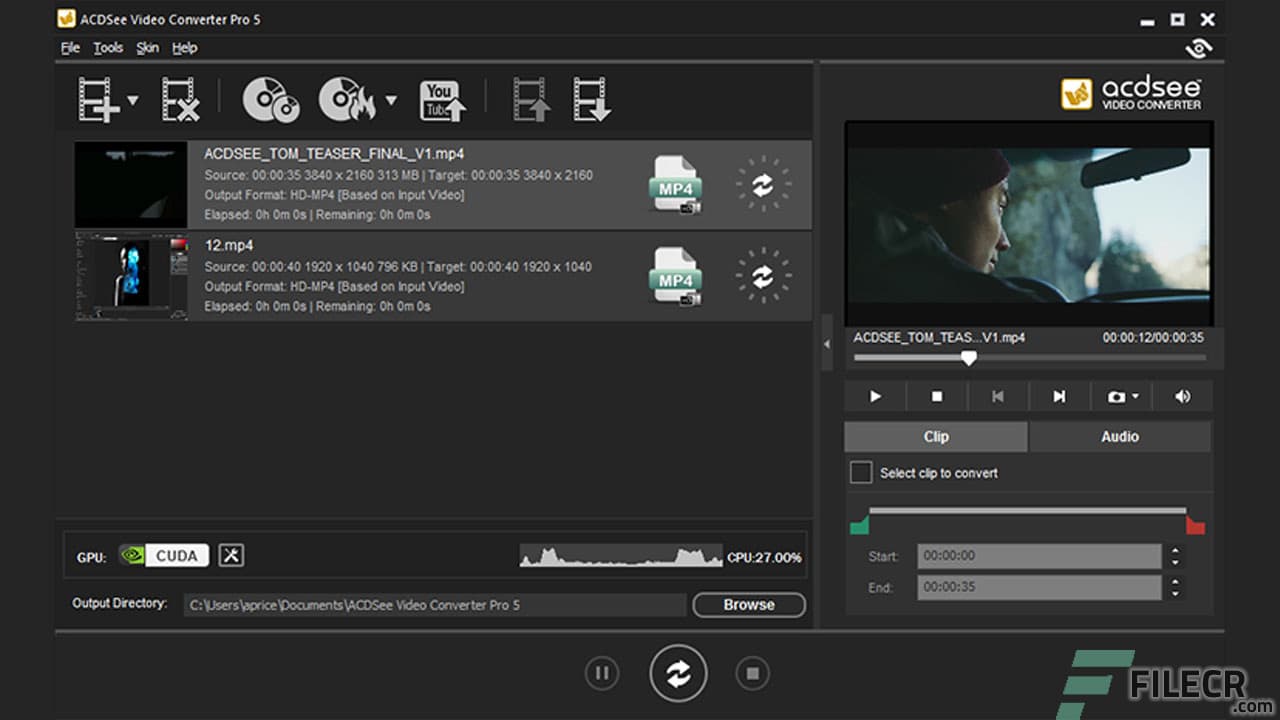 ACDSee Video Converter Pro 5.0.0.799