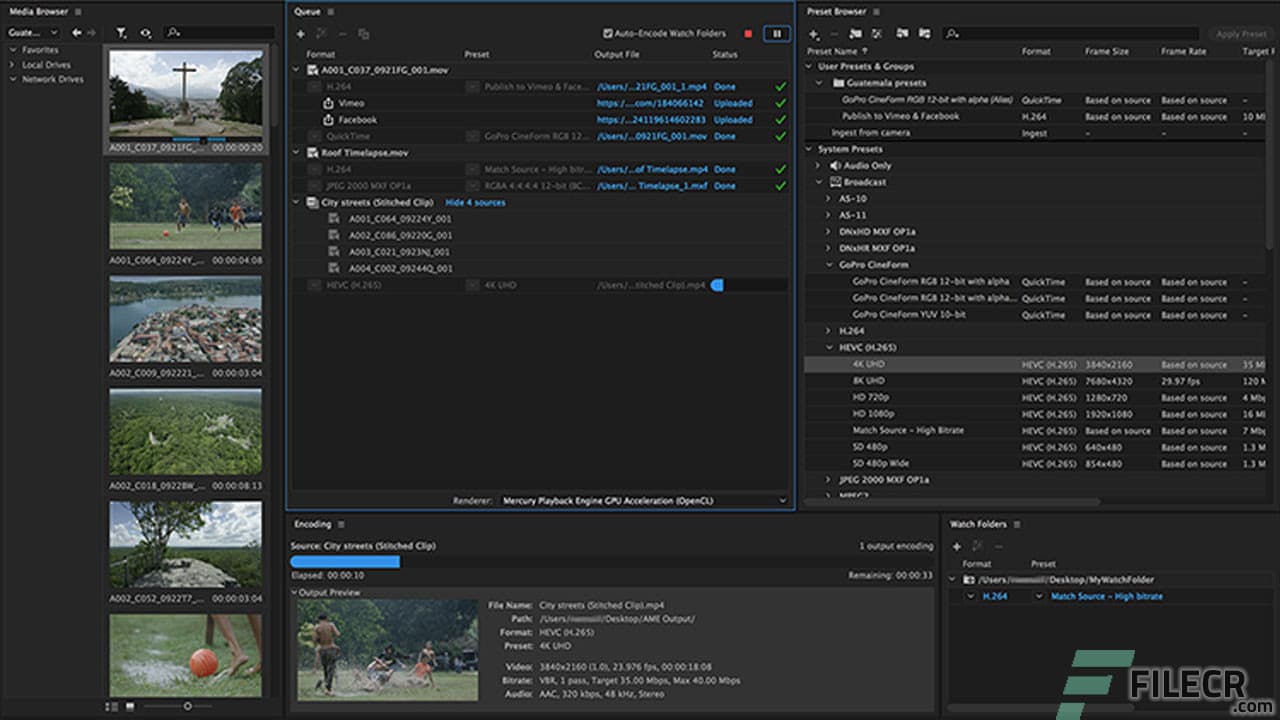 Adobe Media Encoder 2026 (v26.0.0.60)