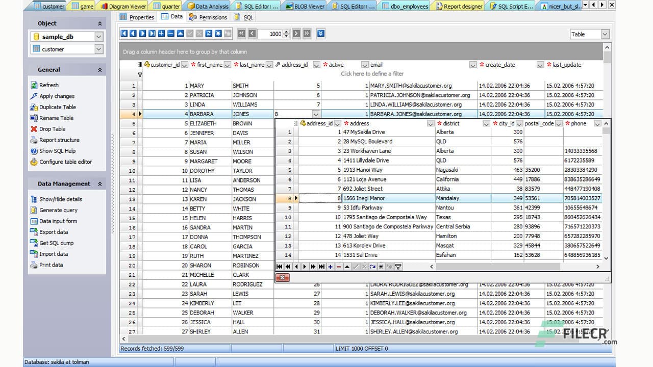 SQL Firebird Maestro 24.2.0.3