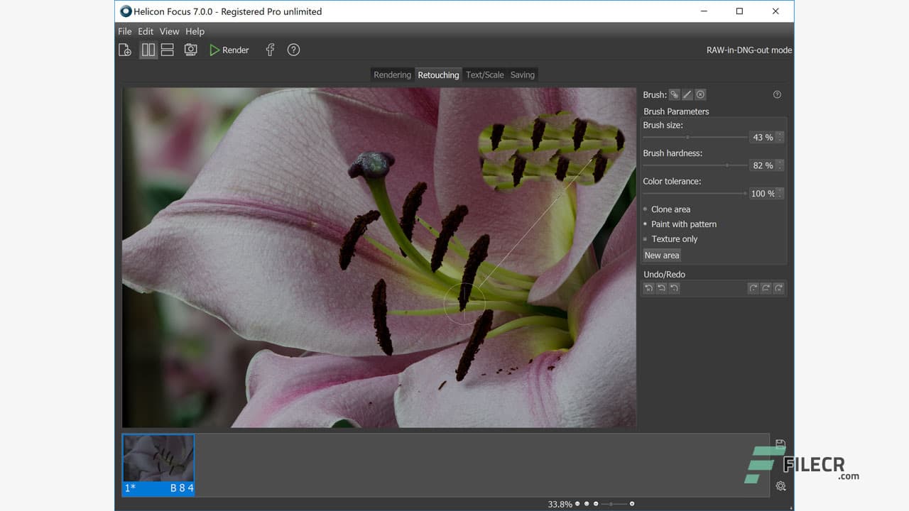 Helicon Focus Pro 8.1.0