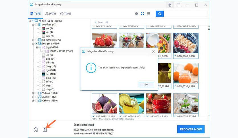 Magoshare Data Recovery 4.6