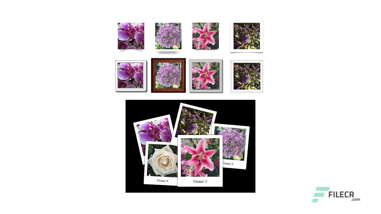 Quick n Easy Web Builder 12.2.0