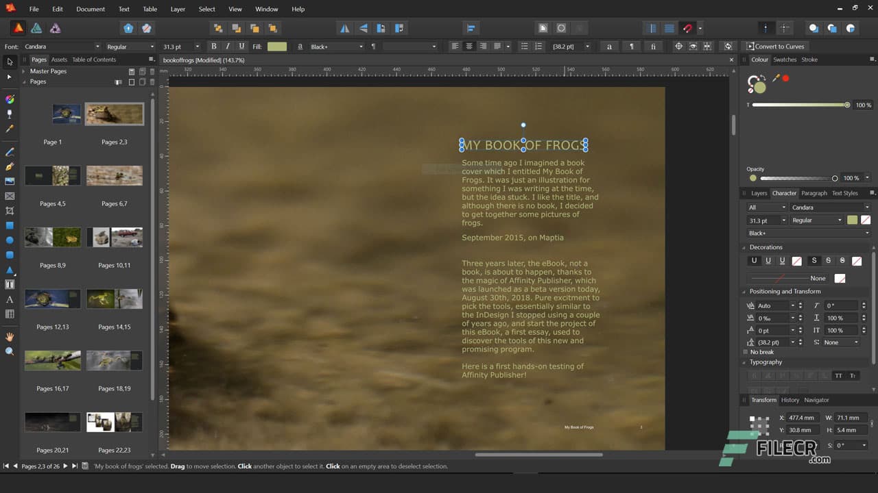 Serif Affinity Publisher 2.6.5.3782
