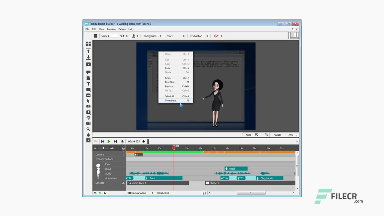 Tanida Demo Builder 11.0.30.0