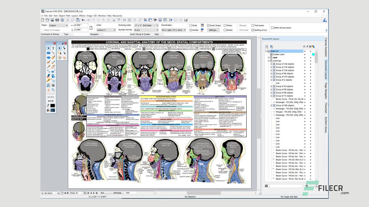 Canvas X Geo 20.0.1009