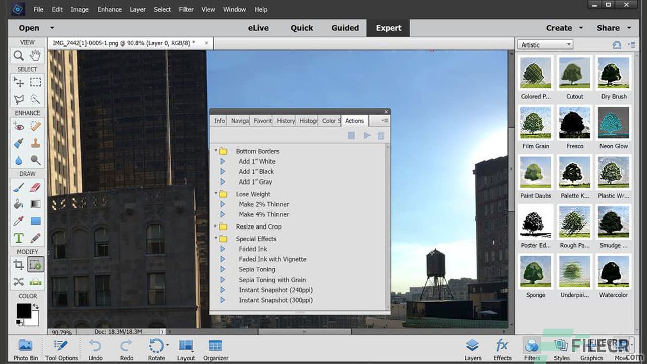 Adobe Photoshop Elements 2026 (v26.2.0.2)