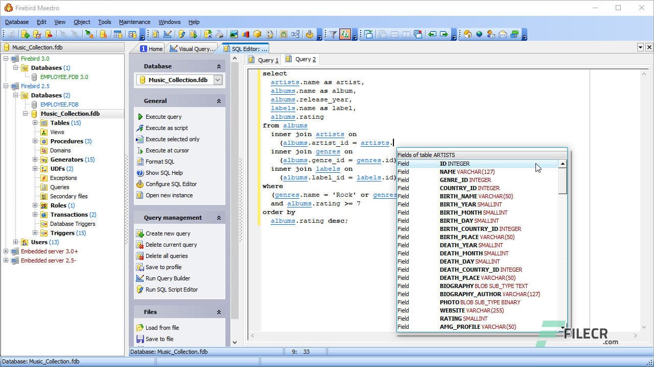 SQL Firebird Maestro 24.2.0.3