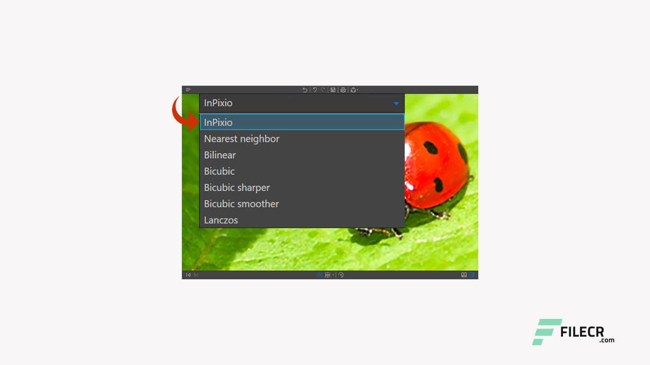 InPixio Photo Maximizer Pro 5.3.8626.22532