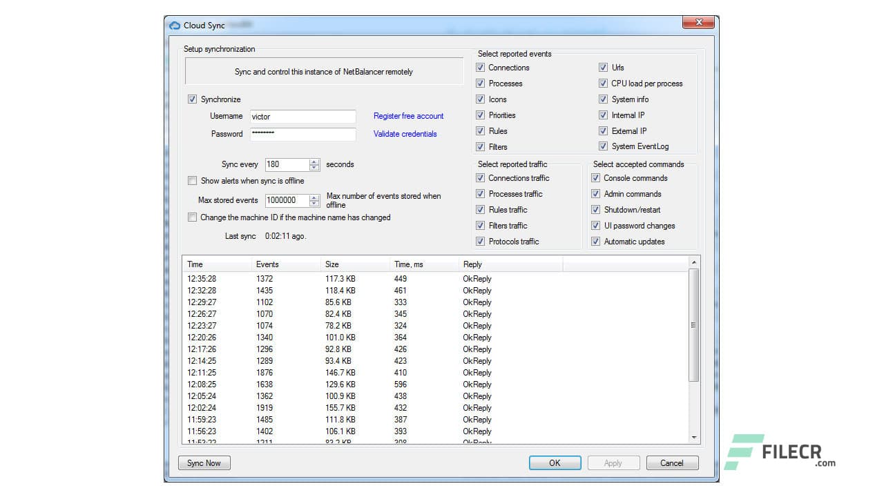 NetBalancer 12.6.1.4290