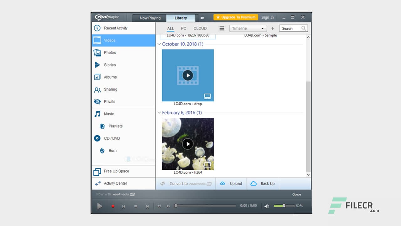 RealPlayer (RealTimes) 24.0.4.303