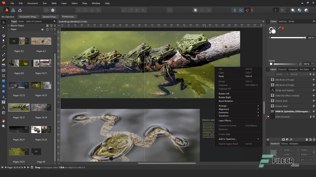 Serif Affinity Publisher 2.6.5.3782