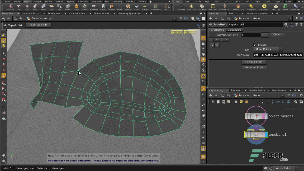 SideFX Houdini FX 19.5.435