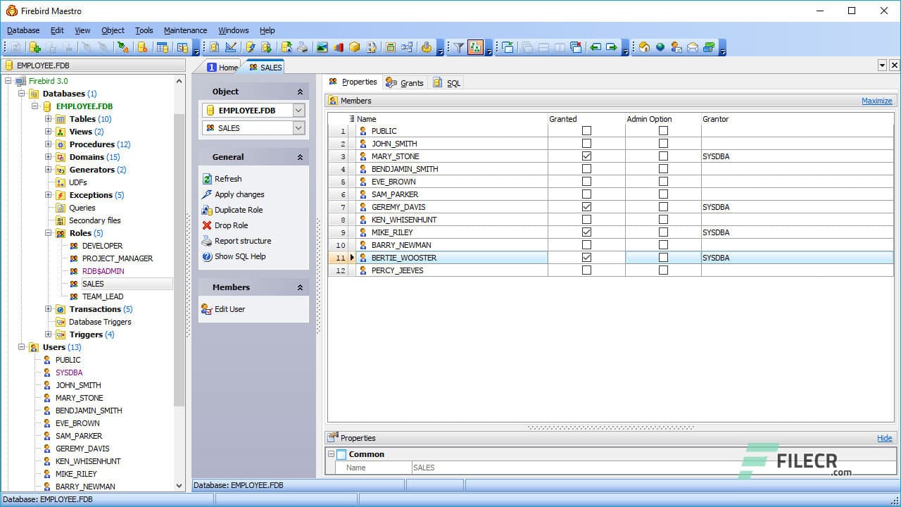 SQL Firebird Maestro 24.2.0.3