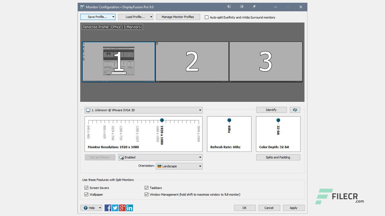 DisplayFusion Pro 12.0.1