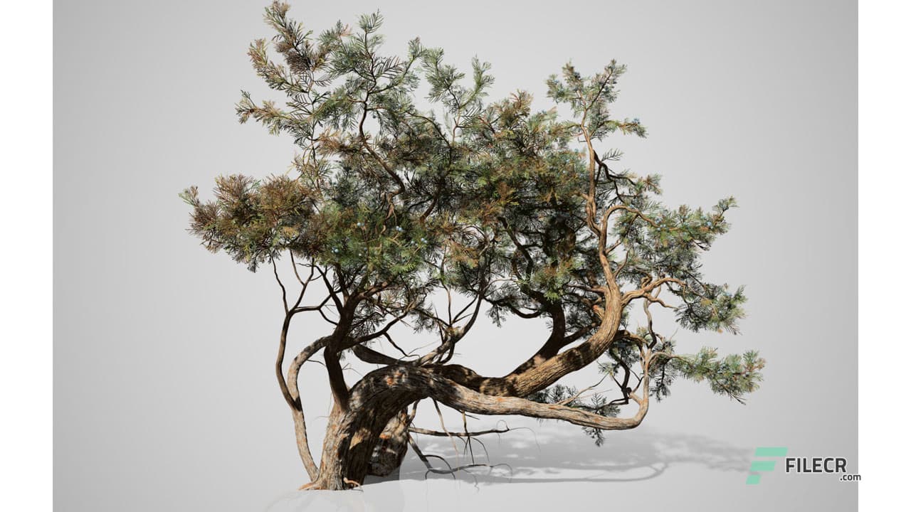 SpeedTree Modeler 10.0.1