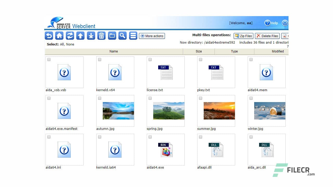 Wing FTP Server Corporate 8.1.2