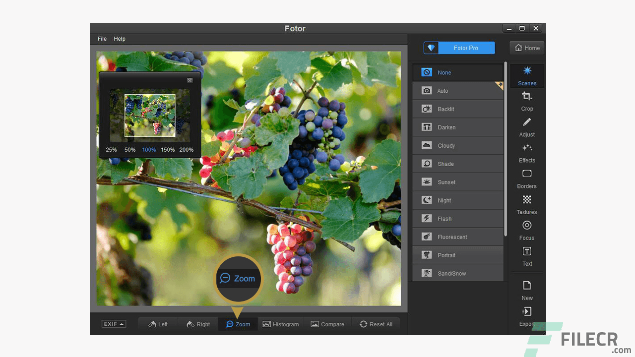 Fotor for Windows 5.1.1