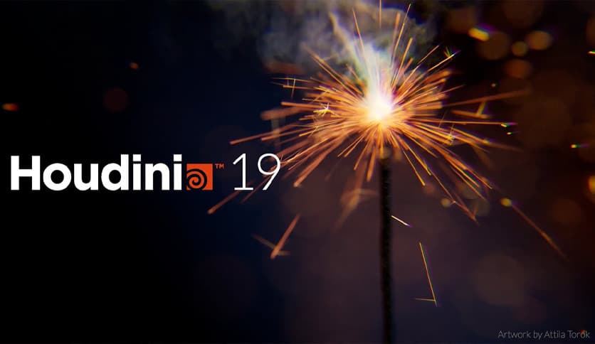 SideFX Houdini FX 19.5.435