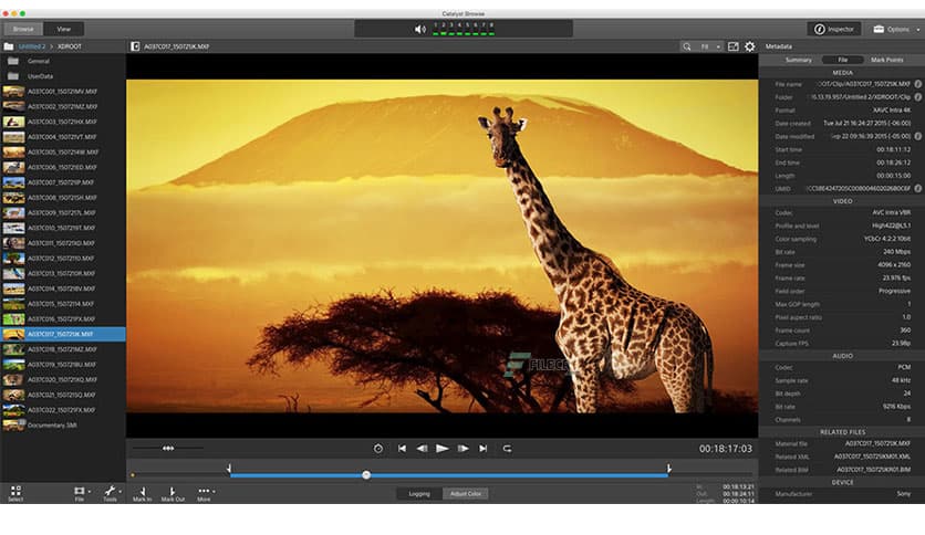 Sony Catalyst Browse Suite 2025.3