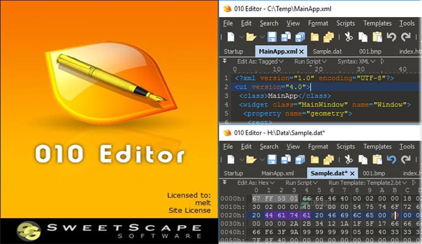 SweetScape 010 Editor 16.0.3