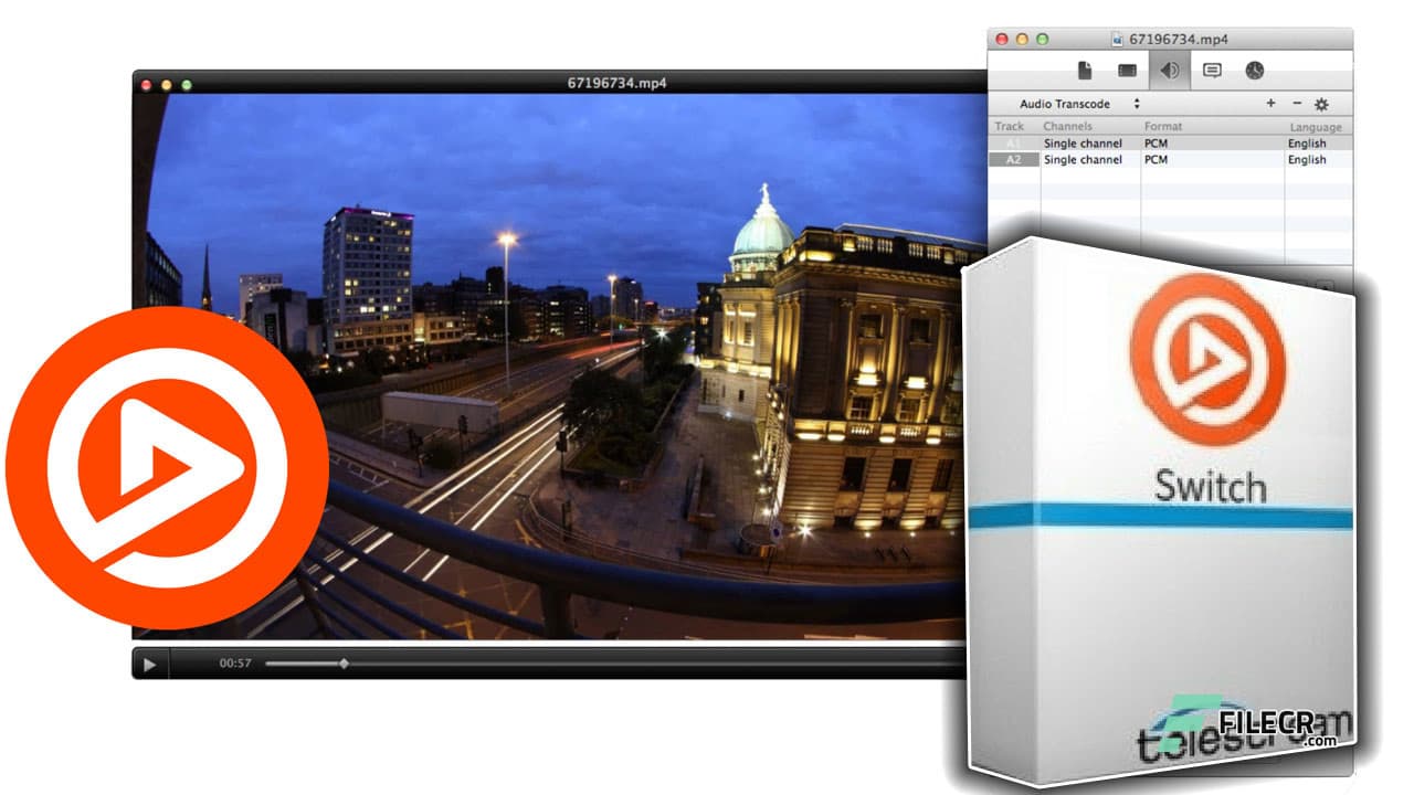 Telestream Switch Pro v5.0