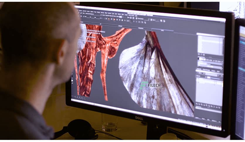 The Foundry Mari 7.1v2