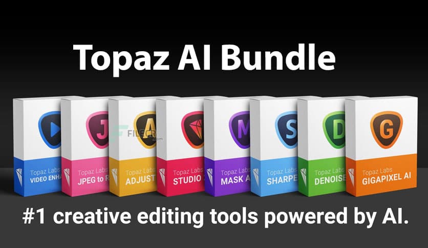 Topaz AI Bundle 2022.02