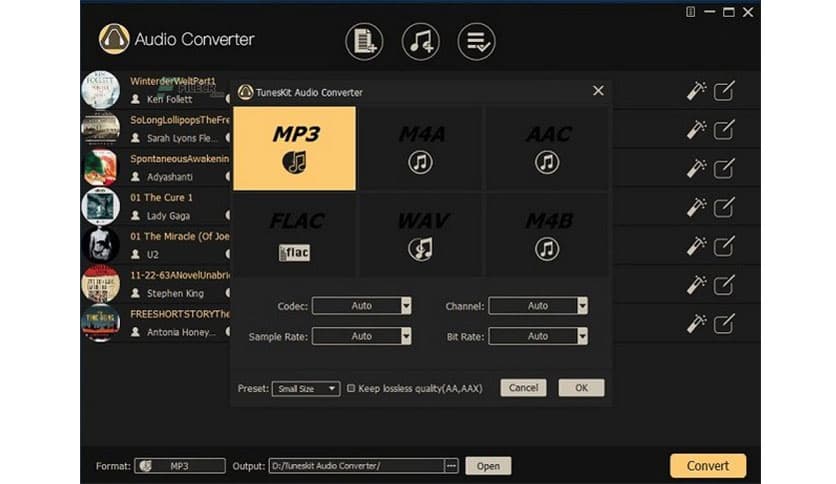 ViWizard Audio Converter 3.9.0.59