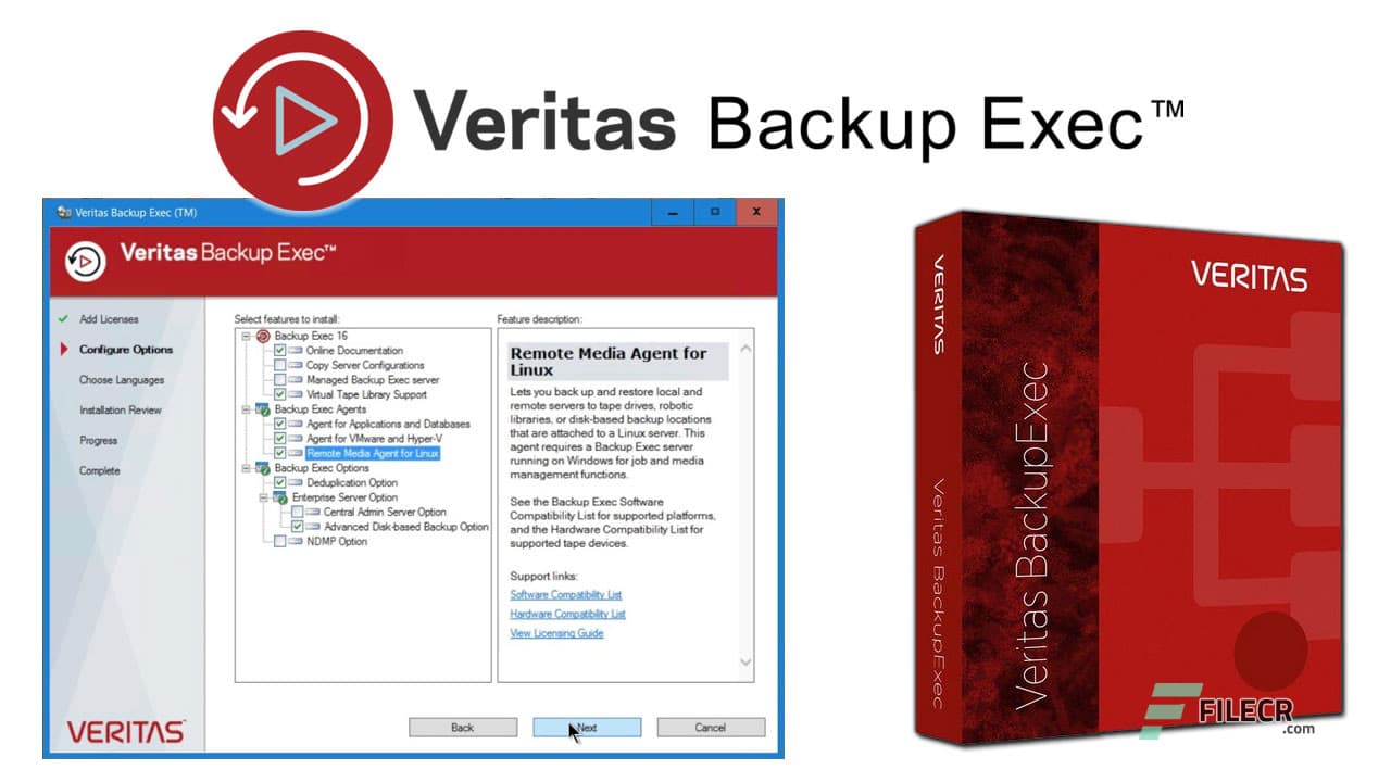 Veritas Backup Exec 22.2.1193.1605
