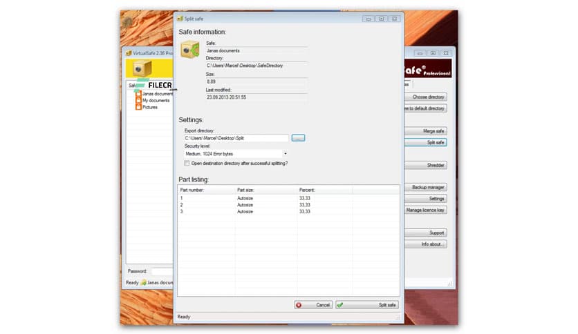 Virtual Safe Professional 3.5.3.0