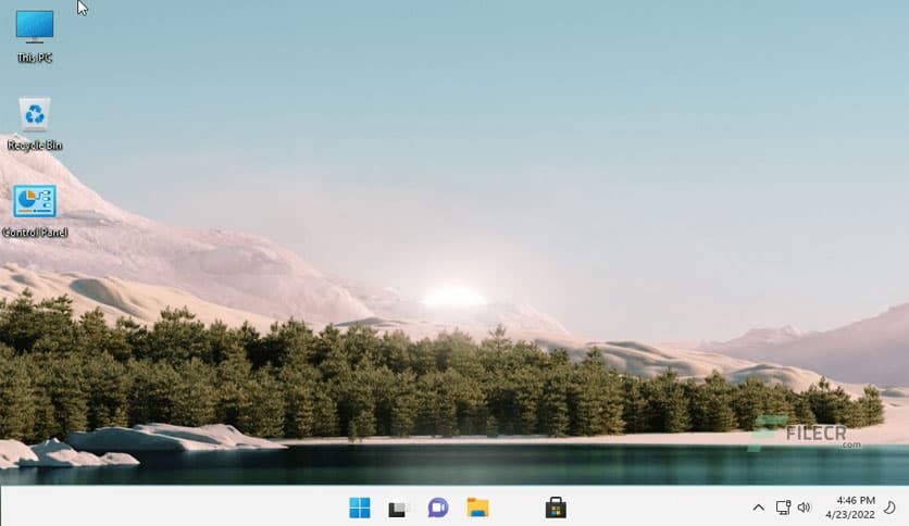 Windows 11 Pro Lite