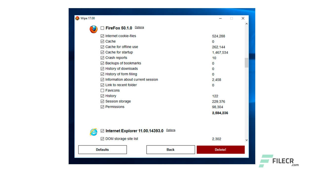 Wipe Professional 2026.01