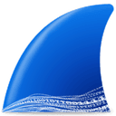 Wireshark 4.6.3