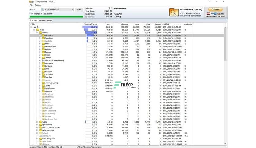 WizTree 4.28 Enterprise