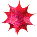 Wolfram Mathematica 14.3