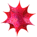 Wolfram Mathematica 14.3