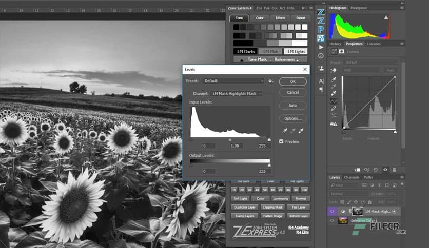 Zone System Express Panel 5.0.1 for Adobe Photoshop