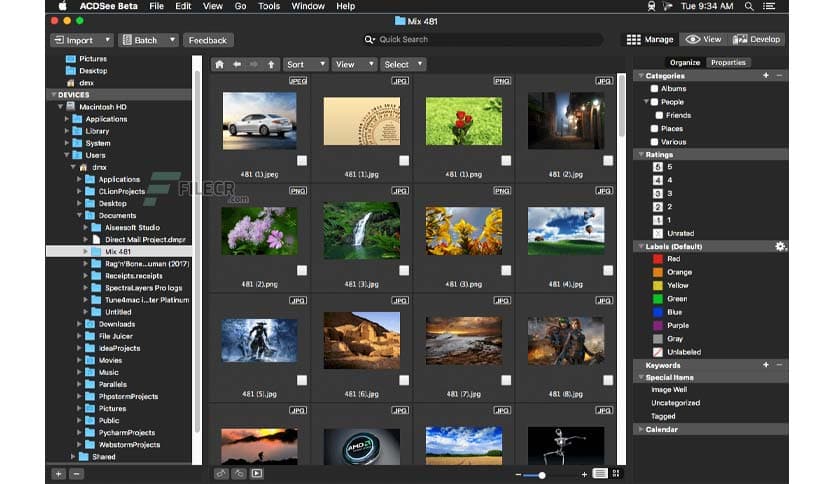 ACDSee Photo Studio 26.0.1