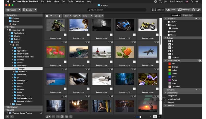 ACDSee Photo Studio 26.0.1