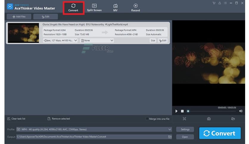 AceThinker Video Master 1.3.6