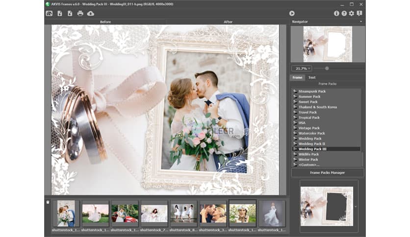 AKVIS Frames 8.0.3898