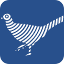 Altair newFASANT 6.3.2020.07.20