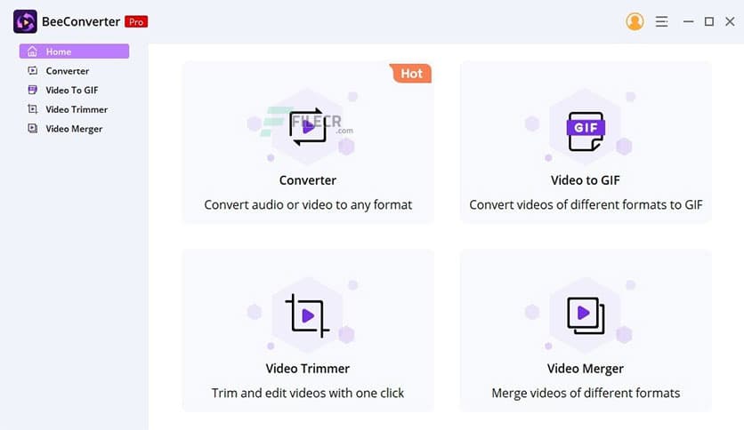 AmoyShare BeeConverter Pro 3.3.0