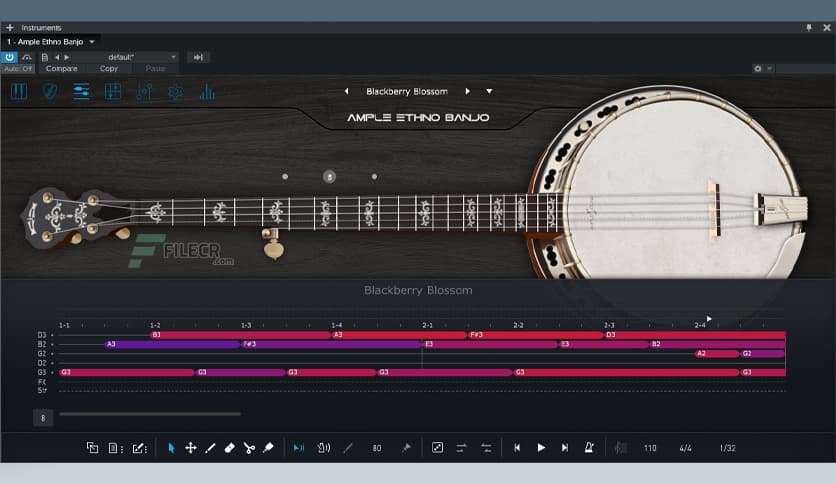 Ample Sound Ample Ethno Banjo 1.0.0