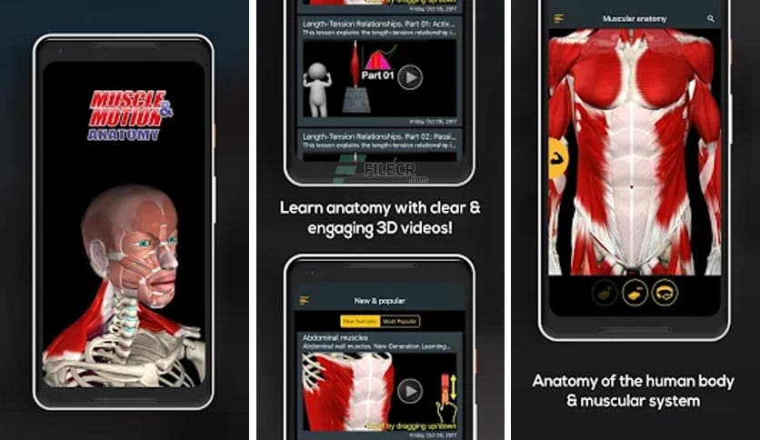 Anatomy Learning – 3D Anatomy Atlas 3.1.493