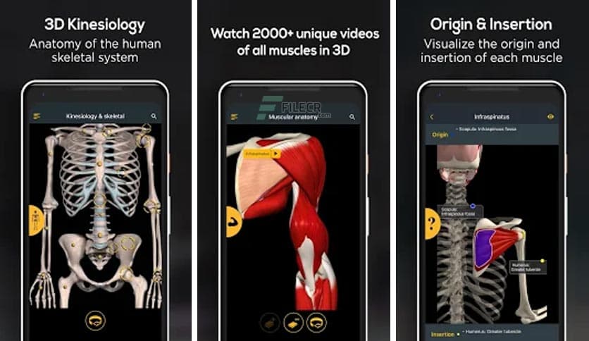 Anatomy Learning – 3D Anatomy Atlas 3.1.493
