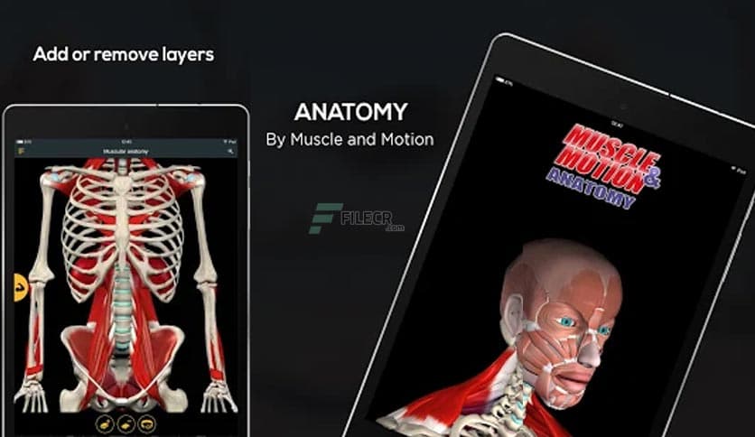 Anatomy Learning – 3D Anatomy Atlas 3.1.493