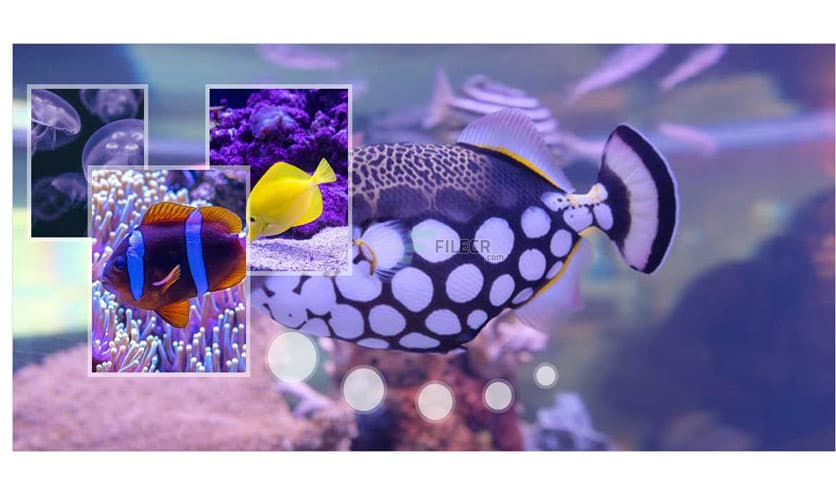 Apowersoft GIF 1.0.1.5